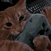gigabaytepoo