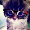 izmeee_arc