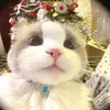 thanhdatt1712