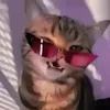 eigexd