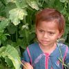 where.waszaheer.a