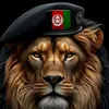 afg.boy5120