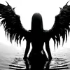 user3804574005413