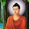 bikal.lama59