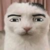 gabizx7k