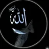 islamivdeo