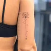 fabiana.sousa092