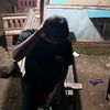 my_lovery.1