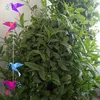shaima.jamal8