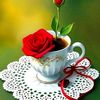 m.fahim588