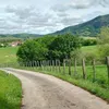mirentxula