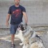 user76888193412294