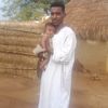 user77586620880185