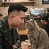 british_foldcat
