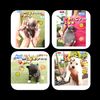lior_adl_yali1379