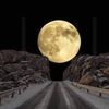 abdou.ilyes0