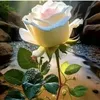 user3498182000786