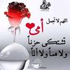 tayebhayet828