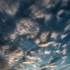 dayis_1339