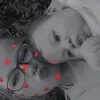 perrierose