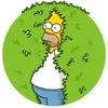 simpsonsincero.oficial