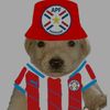 aminlopez14