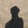 fann090406