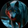 Lobo solitario