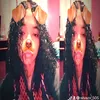 silvazx_505
