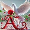 ali.asghar.mallah29