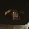 melika_2025