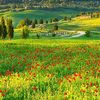 mdsumon.islam034