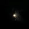 spfiaalejandrape34