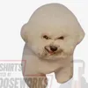bitminhong
