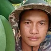 on.vn.hng36