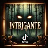 o_intrigante