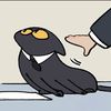 spyral