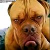 musinguzi.never