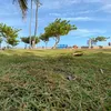 emlapro0378