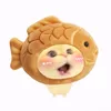 songtutabioverthinhking