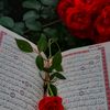 mahmoud.ma25