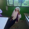 yantiii_128