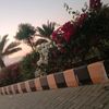 user2095251374520