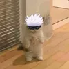 imcoollol44