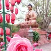 MƯỚP ĐẮNG✅️