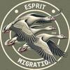 Esprit Migration