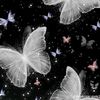 nabila.alif