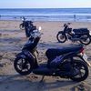 m.risdan.n