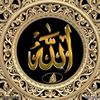 razaul.karim3107