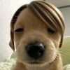 user47608200454511